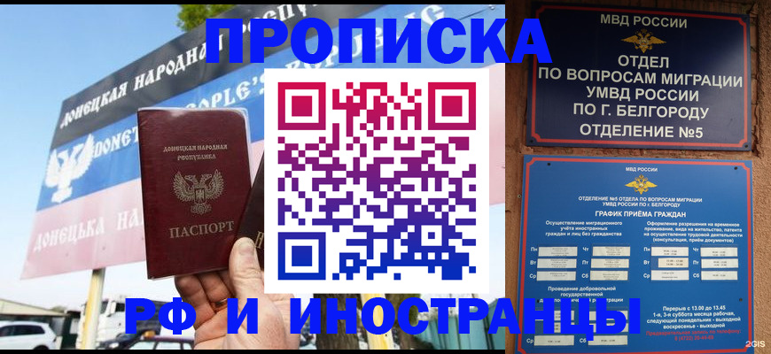 временная регистрация 2025 в Светлом